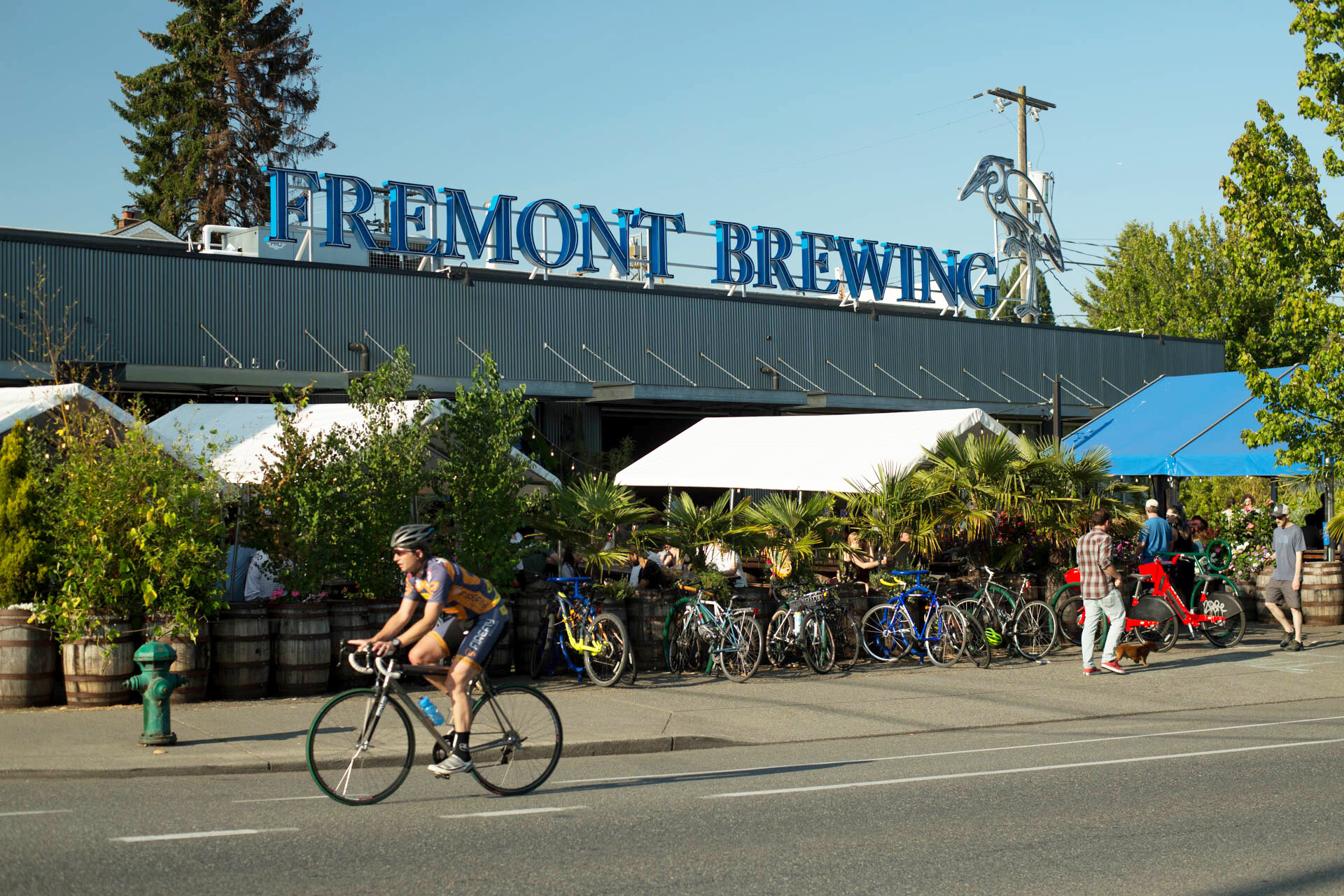 The whole scene outside Fremont Brewing in Seattle, the birthplace of B Bomb - B-Bomb: Winter Symphony in Every Drop of Beer