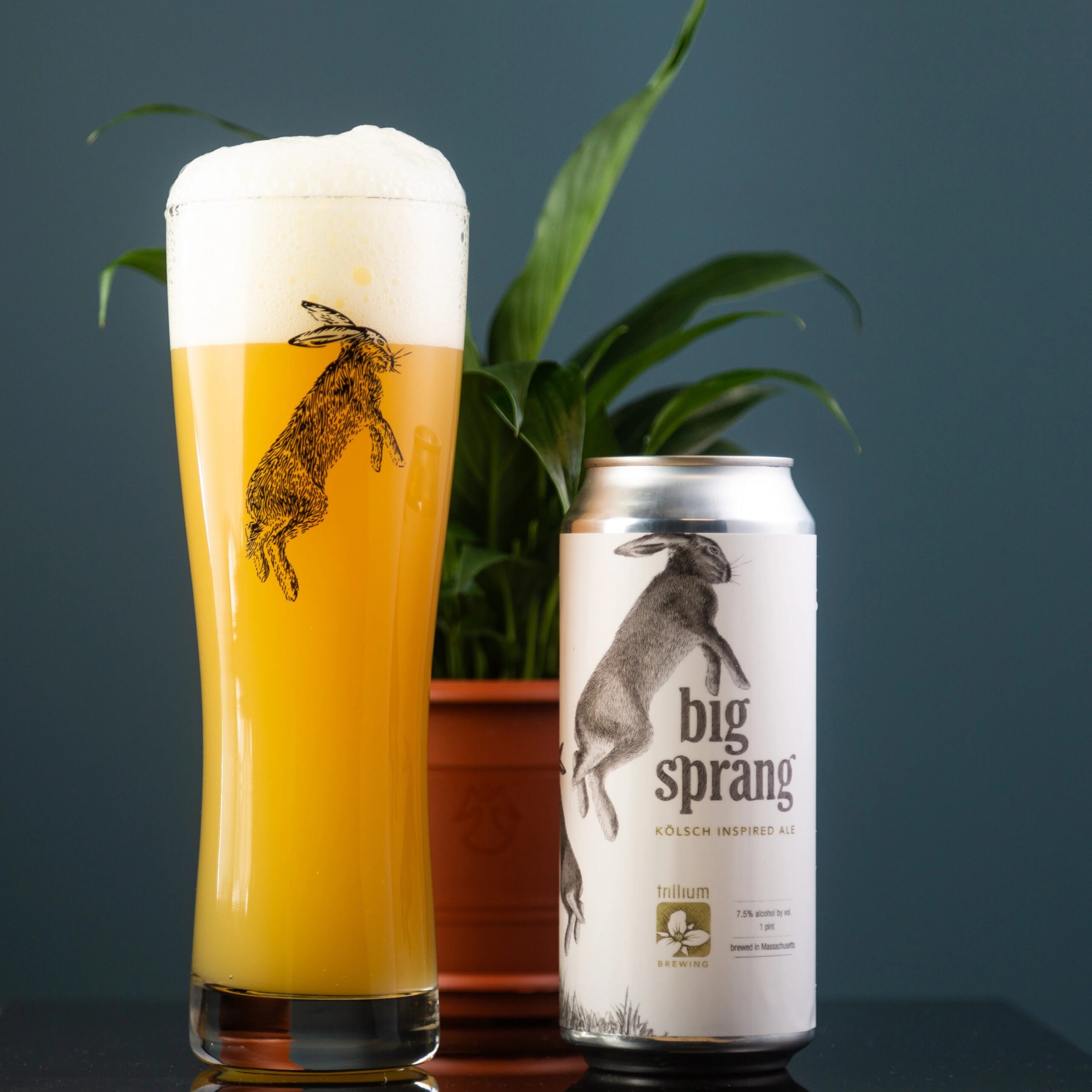 Big Sprang – Khi Kölsch Mặc Chiếc Áo Mới Big Sprang khong don gian la mot phien ban phong tac – no la mot cuoc noi loan co kiem soat 1 scaled - Big Sprang – Khi Kölsch Mặc Chiếc Áo Mới