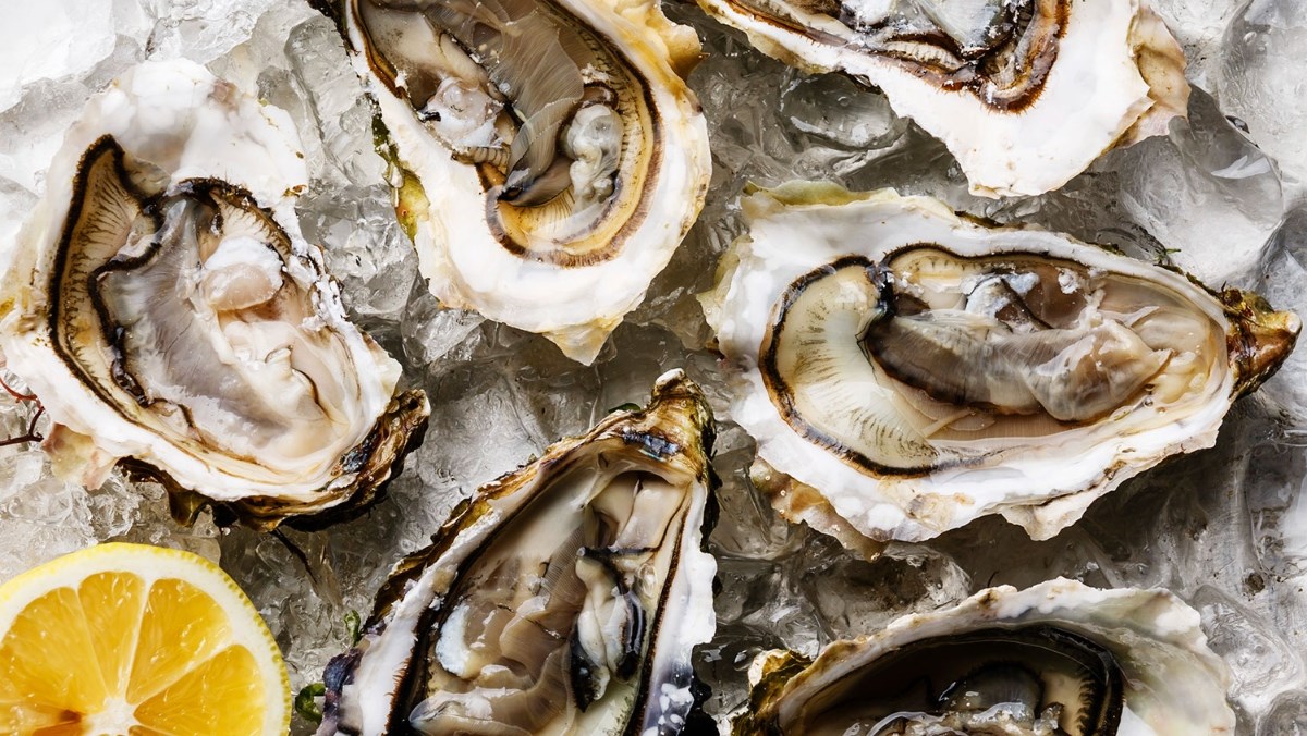 デュベル トリペル ホップ シトラは川と相性抜群 - デュベル トリペル ホップ シトラ：魅惑的な味わいの物語