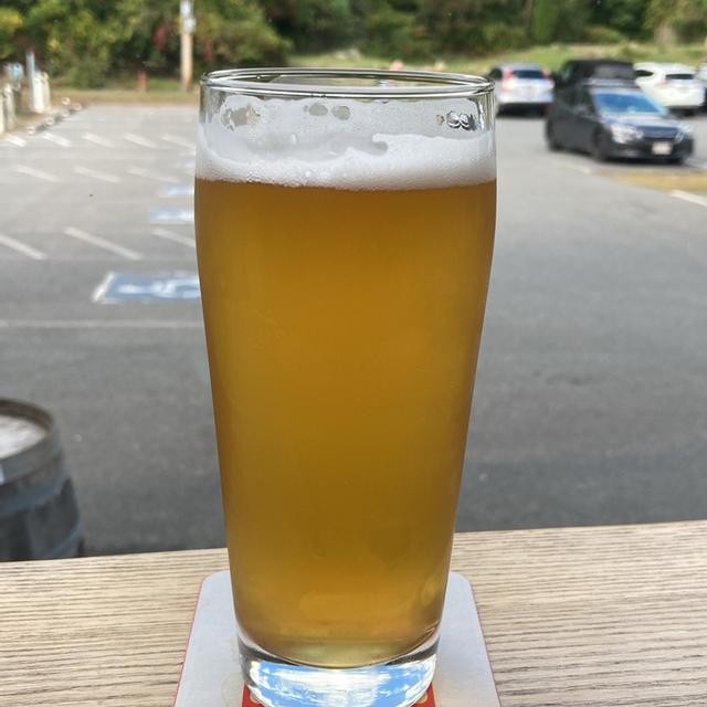 Enjoy Gate 37 like chatting with an old friend from a faraway homeland - Gate 37 Grisette: The Gentle Taste of Freedom