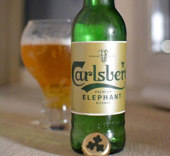 Oder genießen Sie Elephant Beer bei einer Temperatur von 7 bis 10°C – nicht eiskalt wie im strengen Winter - Elephant Beer: A Brave Rebellion
