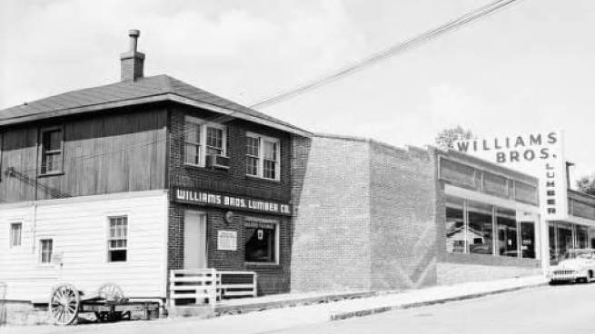 Die Legende von Alba hat ihre eigene Geschichte in der modernen Bierwelt geschrieben - Alba Scots Pine Ale: Wildes Liebeslied unter den Kiefern