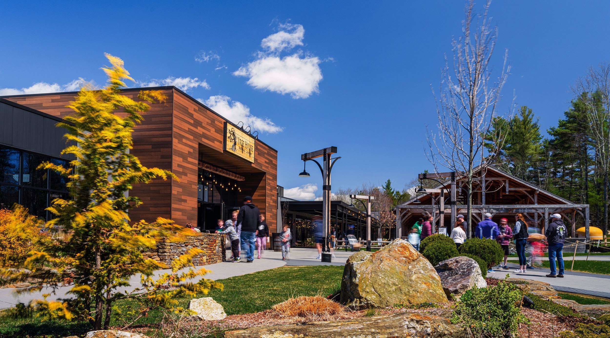 The view outside the Tree House Brewing Company - Munich Dunkel: The Love of Beer Connoisseurs