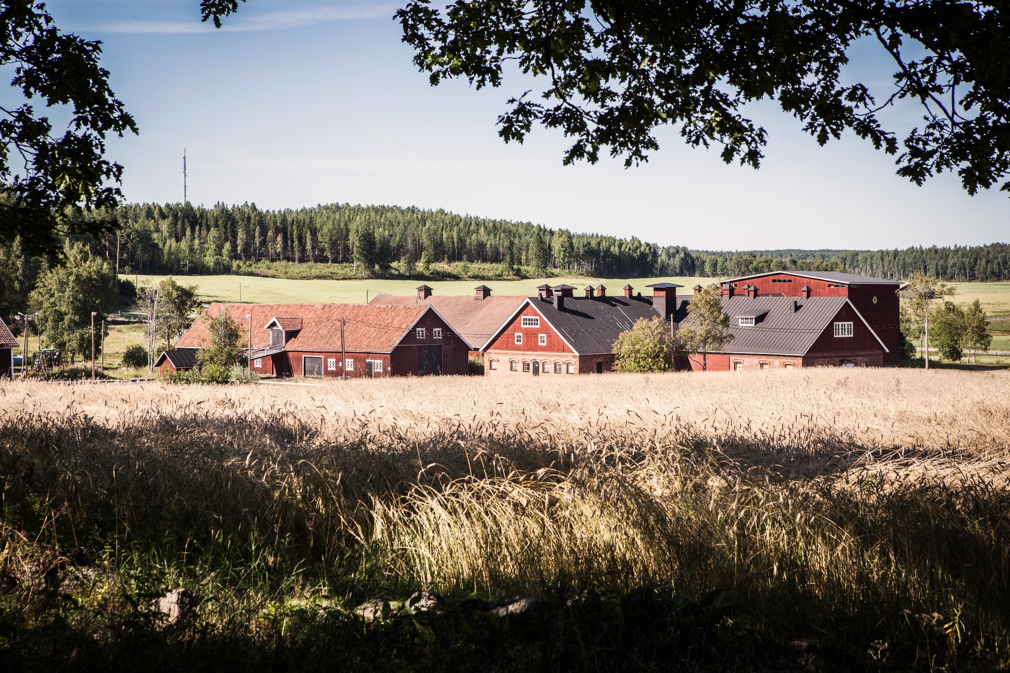 Malmgardin Panimo Brewery Scenery - Arctic Circle Ale: A Love Song With Nordic Soul