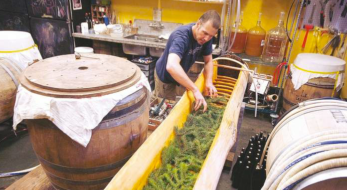 Sahati: Hương Rừng Bắc Âu Trong Từng Giọt Oregon Mot phan hinh anh trong qua trinh u bia tai nha may The Ale Apothecary - Sahati: Hương Rừng Bắc Âu Trong Từng Giọt Oregon