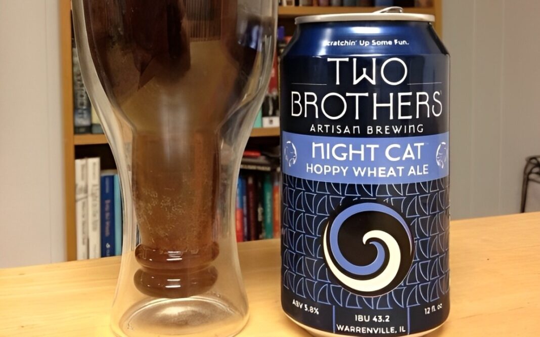 Night Cat The Charming Night Cat In The World Of Craft Beer Night Cat The Charming Night Cat In The World Of Craft Beer