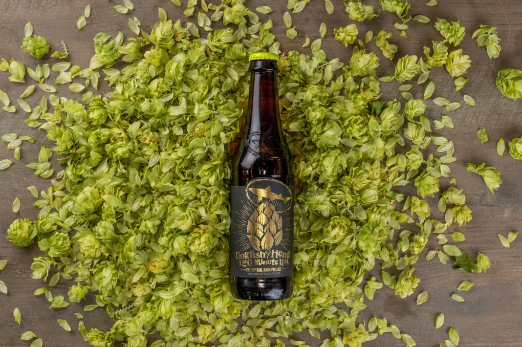 Chai bia 120 Minute IPA