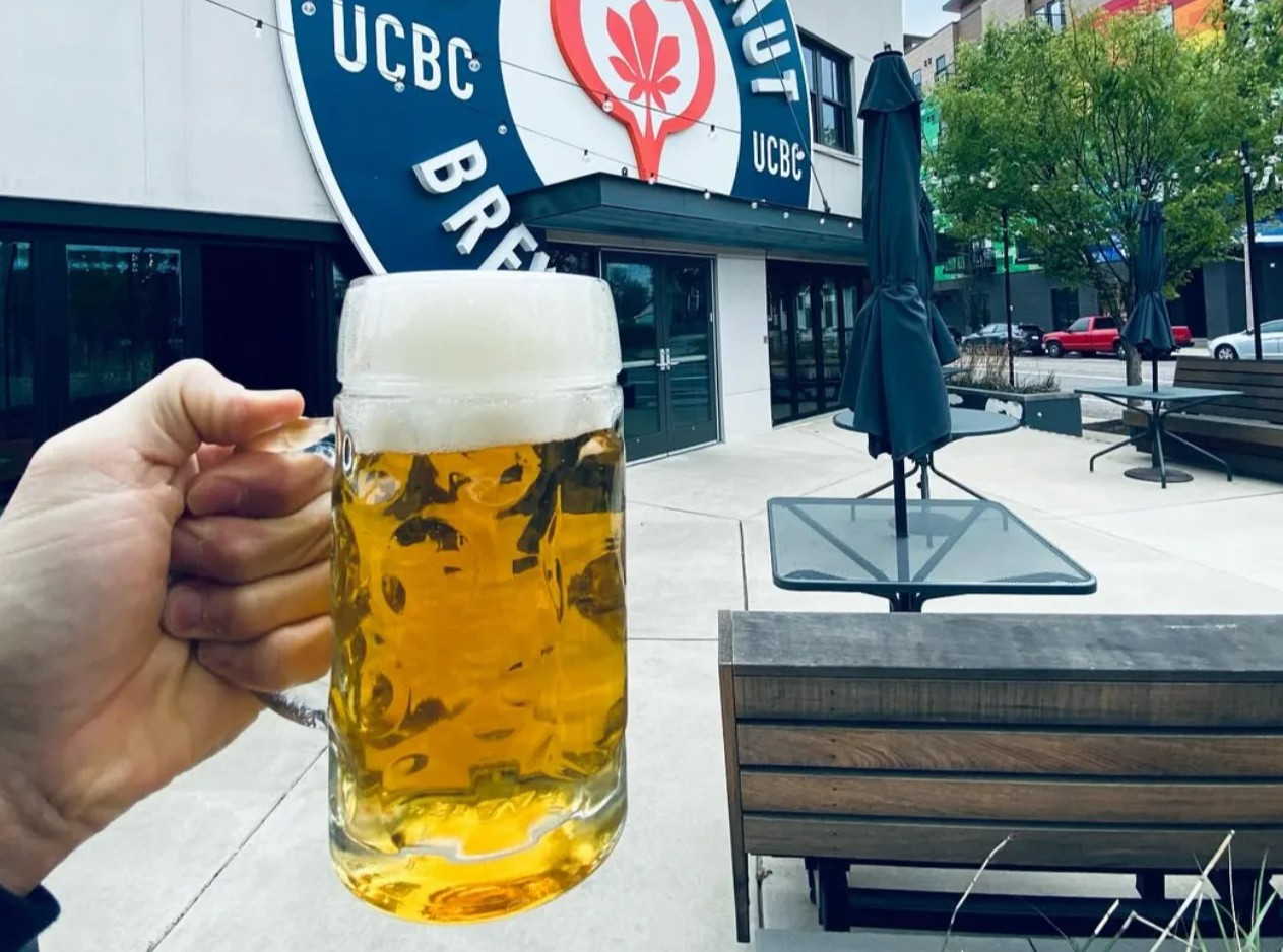 Zwickel has a medium-sized body, plump and full like a hug in a cold afternoon - Zwickel: The Lightness Like the Morning Dew of Germany