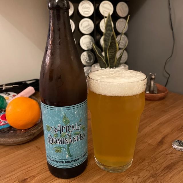 Apical Dominance hat ein sehr beeindruckendes Bierdosen- und Verpackungsdesign mit einzigartigen Details 1 - Apical Dominance: Zen of Golden Yeast