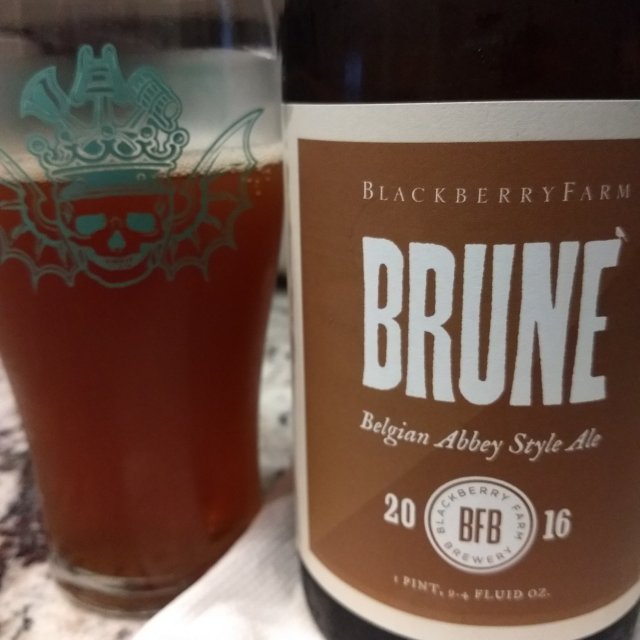 SRM 18–22 dunkelbraunes Bier wie ein reifes Blatt unter der Sonne mit einer verführerischen Schicht Sahne – Abbey Brune: Die Geschichte der stolzen belgischen Hefe