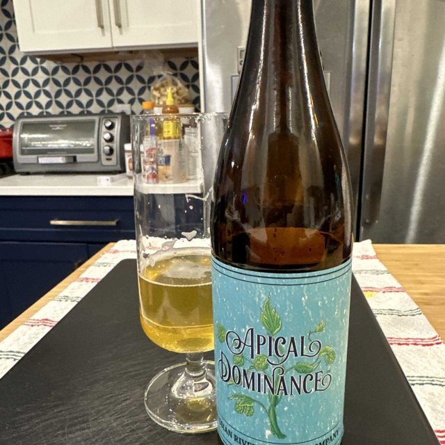 Bier mit der Farbe der Sonne, gefiltert durch Bernsteinglas – prickelnder Rumwein 1 – Apikaldominanz: Zen der goldenen Hefe