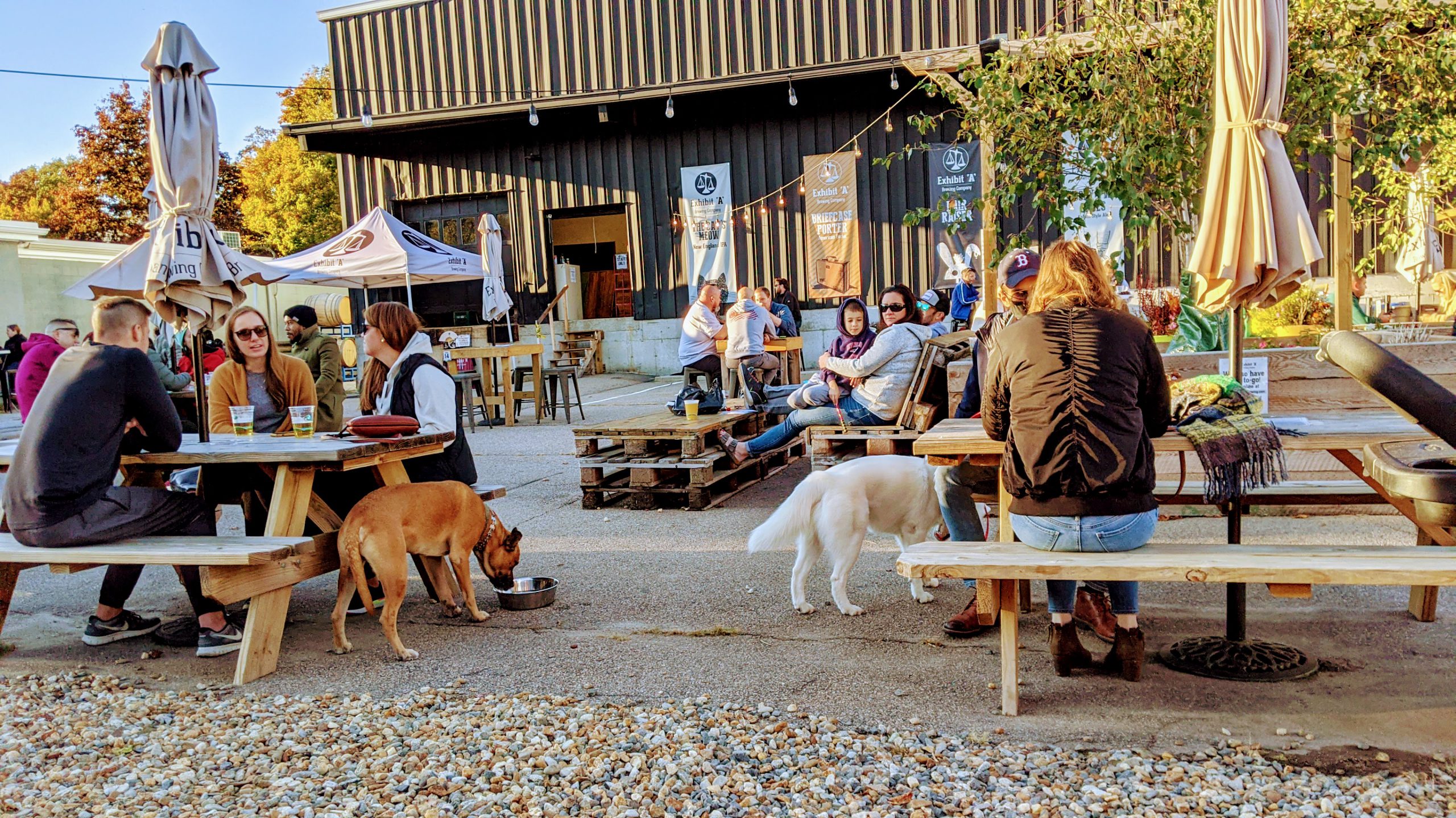 Exhibit A Brewing Company - Goody Two Shoes: Dewdrops on the Hops