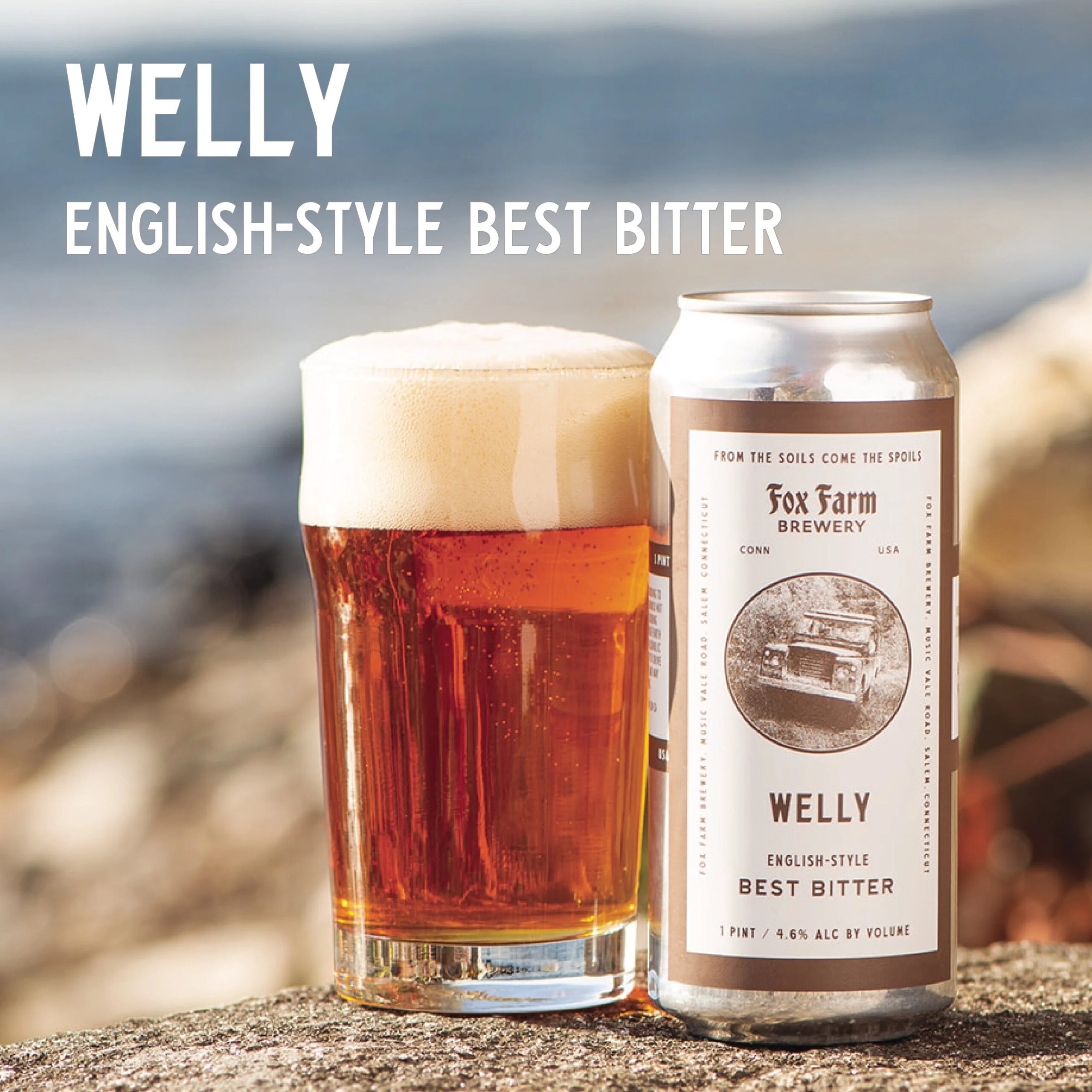 Wenn Sie durch ein Glas Welly leuchten, sehen Sie eine warme goldene Farbe, gemischt mit einem Hauch von Braun wie schuppiges Karamell - Welly: Die Essenz des englischen Biers, rein in jedem Tropfen Gold