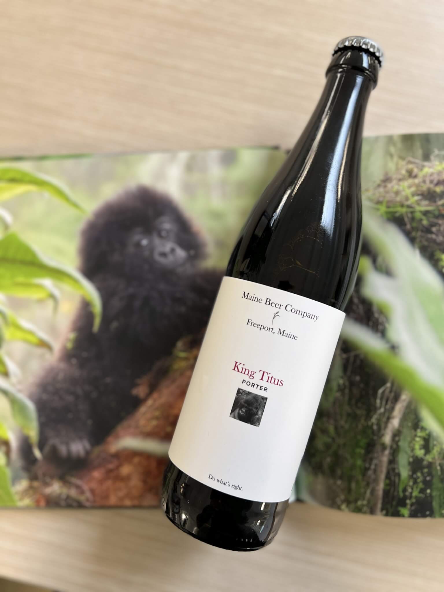 Thiet ke chai bia King Titus day tinh te va hap dan - King Titus: Cảm X&uacute;c Từ Những Hạt Malt Đen Huyền B&iacute;