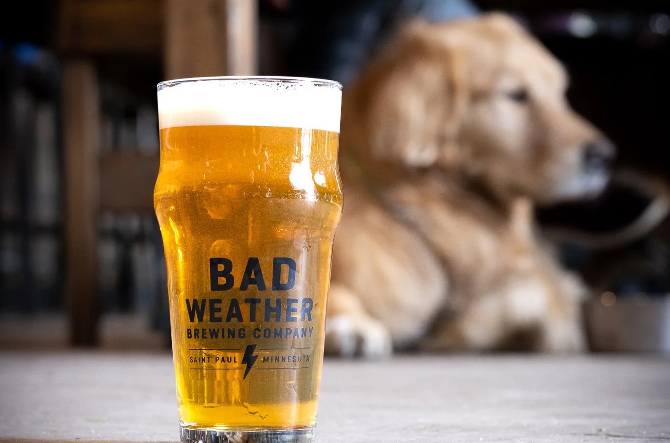 Tippin' It Down: Nàng Thơ Hổ Phách Giữa Thế Giới Bia Thủ Công Tippin It Down toa ra thu anh vang am ap nhu nang chieu tren nhung canh dong lua mach nuoc Anh - Tippin' It Down: Nàng Thơ Hổ Phách Giữa Thế Giới Bia Thủ Công