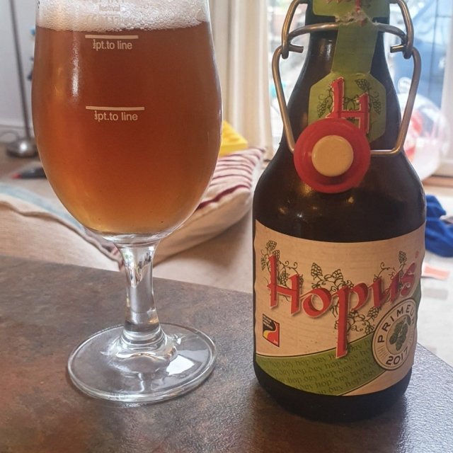 0864bed2d2d62c98786a6e89fea46c44 640x640 - Hopus: The Sublime Journey of Floral Fragrance and Belgian Bitterness