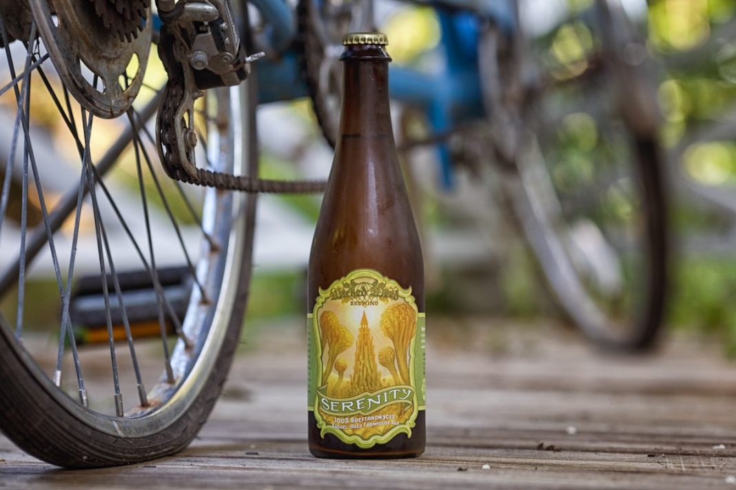 Serenity: The Journey to Regain Serenity on the Tip of Your Tongue