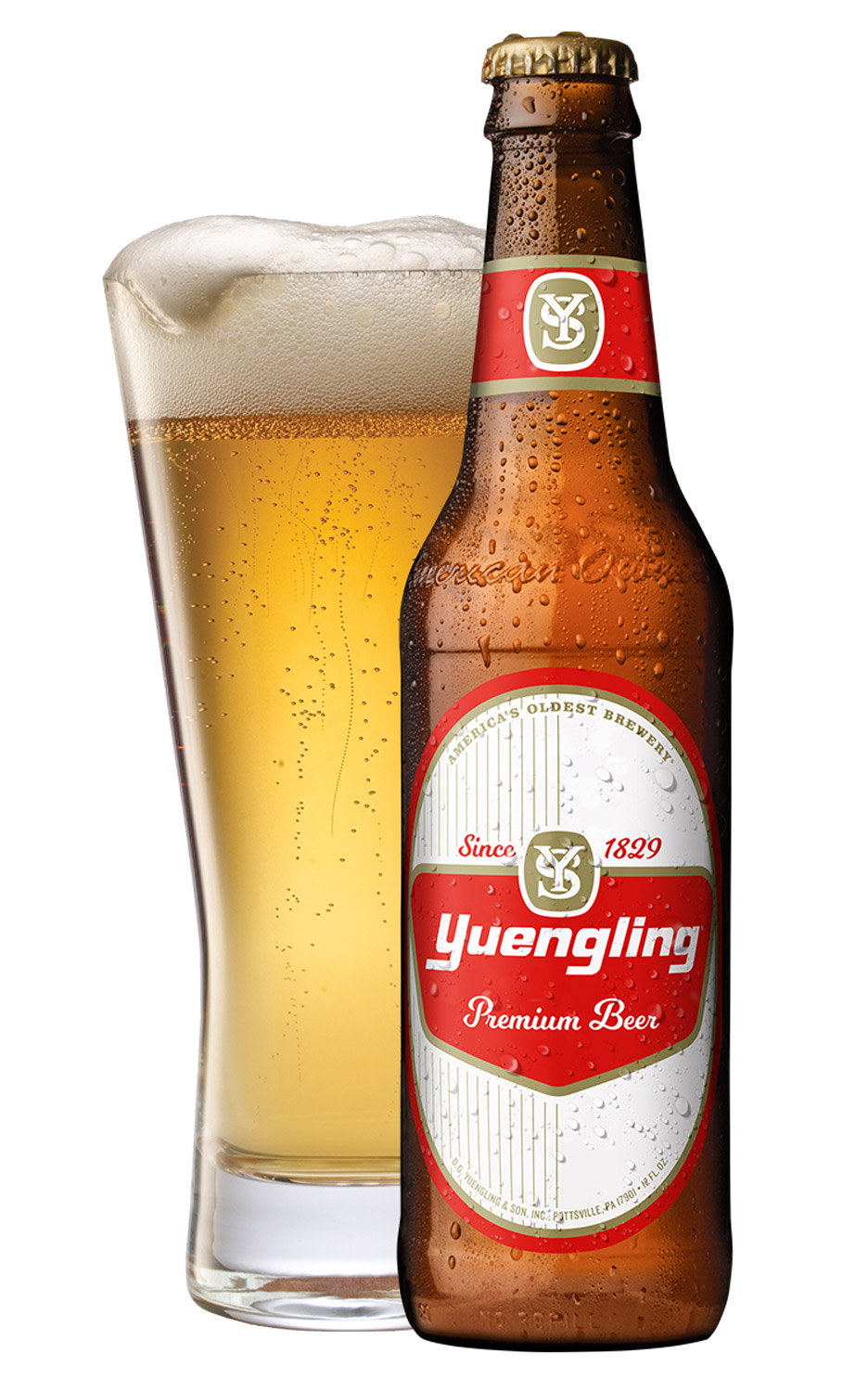 Bia co mau vang anh vang am ap tua nhu nhung tia nang dau tien cua buoi binh minh duoc chat chiu lai - Yuengling Premium: Di Sản V&agrave;ng Lắng Đọng Giữa D&ograve;ng Thời Gian