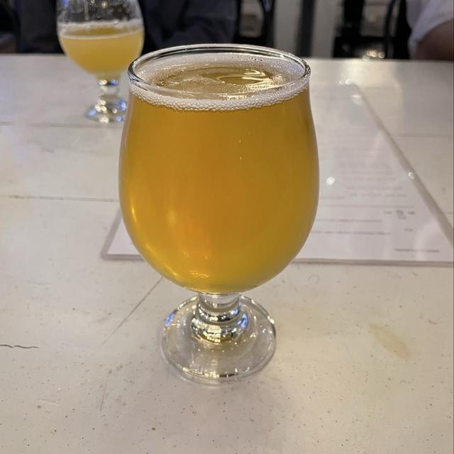 Coolship Lager Americana: Golden Love Song Between Two Worlds