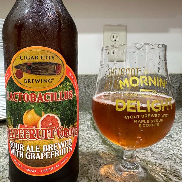 A rum-colored beer reminiscent of gentle Mexican sunsets - Lactobacillus Guava Grove: The Modern Sour Queen