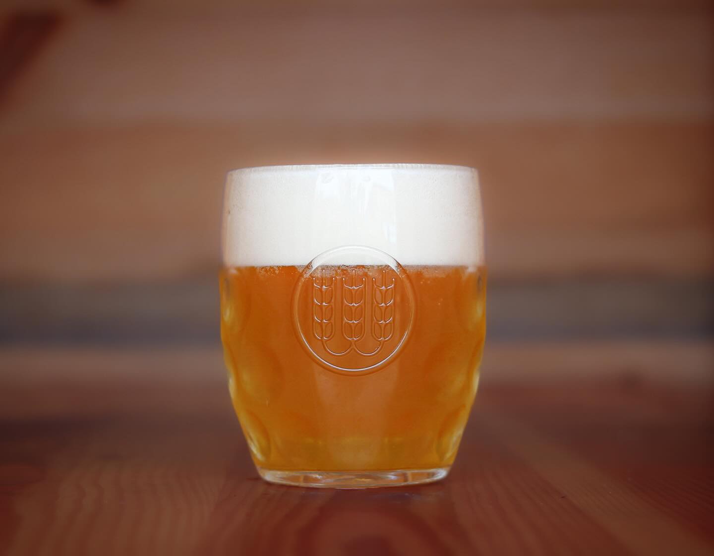 Das Bier ist so klar, dass man hindurchsehen kann – Lena 10°: Eine verführerische Erinnerung