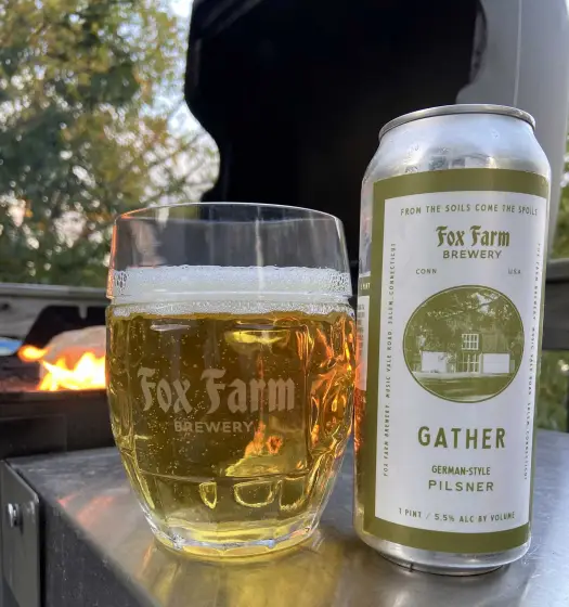 Das Bier hat eine goldene Farbe mit klarem und funkelndem Gold - Gather: Nurturing Pure Souls