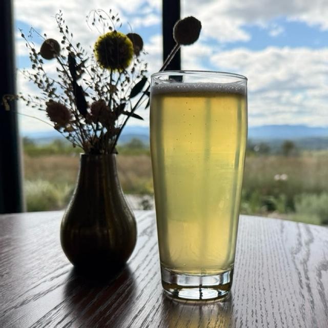 Beer goes well with a tall, slender Pilsner or Pokal - Tennō Dry: The Simple Philosophy of a Beer Connoisseur