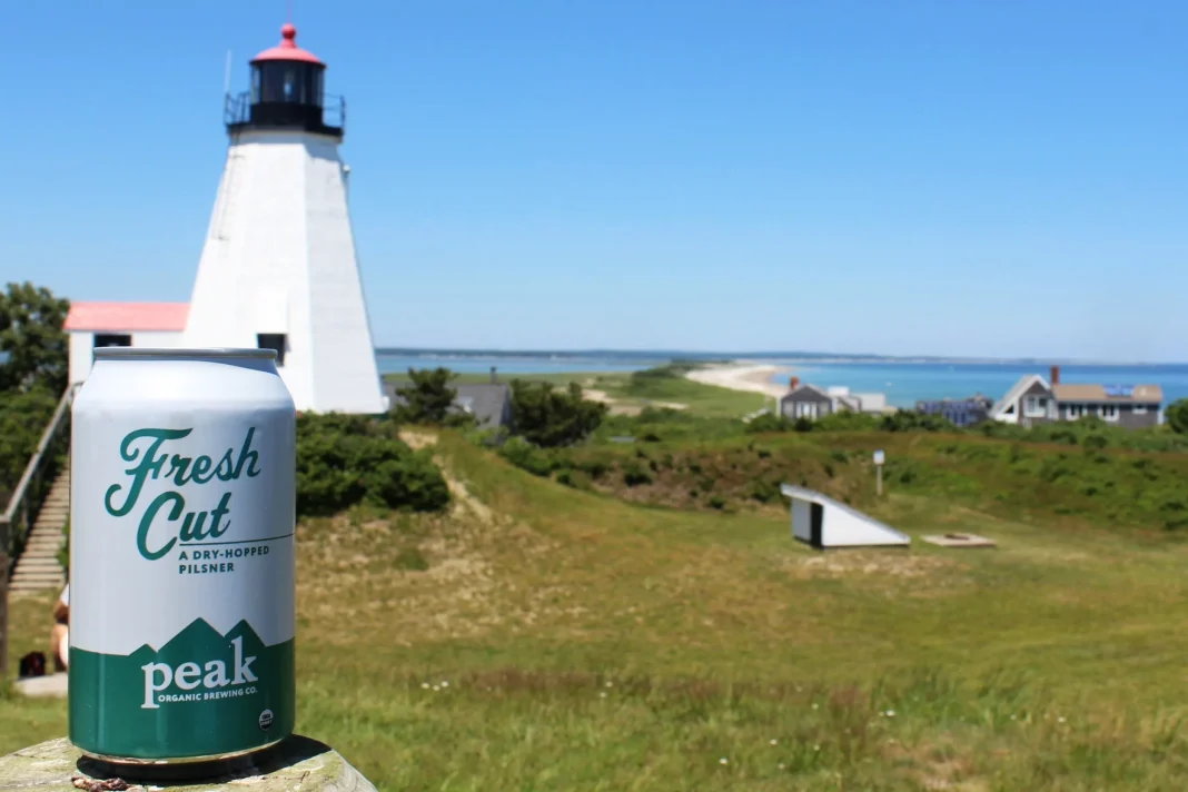 Fresh Cut: A Crispy Masterpiece That Will Capture the Souls of Connoisseurs