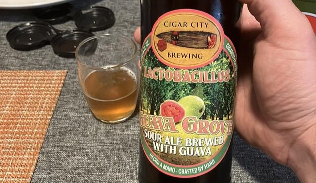 Lactobacillus Guava Grove Modern Sour Queen