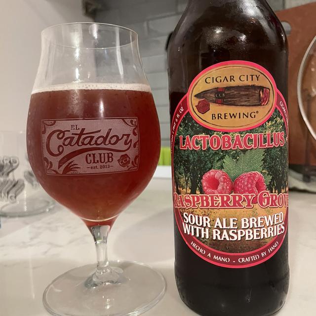 Lactobacillus Guava Grove has a beer can design with attractive warm and dark colors - Lactobacillus Guava Grove: The Modern Sour Queen