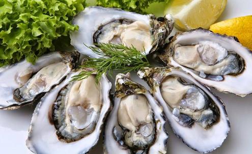 アウデ・タルト：黄金の一滴一滴に込められたフランダースの味 - アウデ・タルト：黄金の一滴一滴に込められたフランダースの味