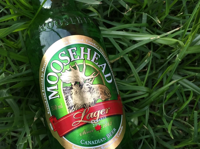 Moosehead Lager: Geist des Windes mit Bierduft Moosehead Lager: Seele des Windes mit Bierduft