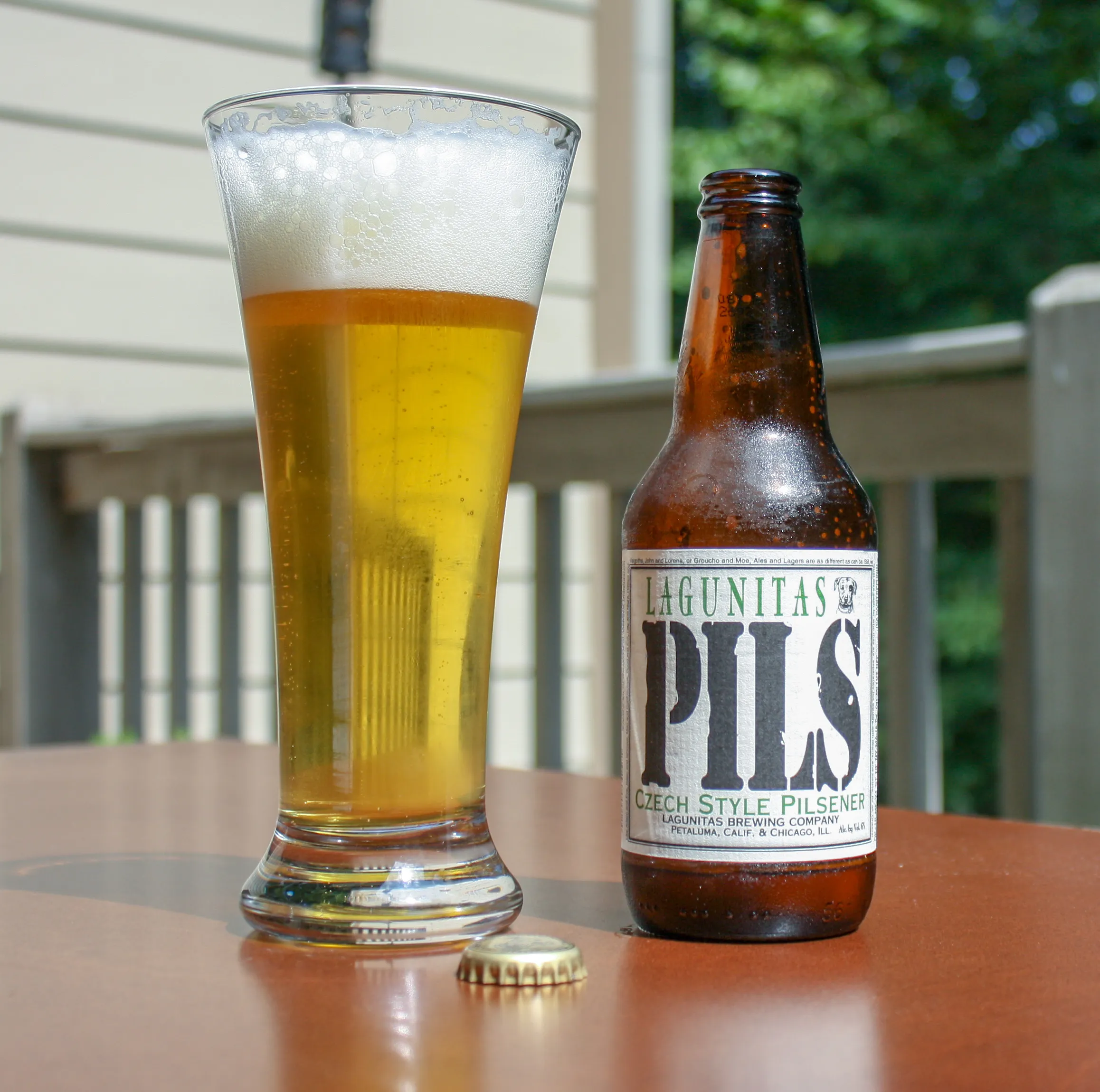 PILS Czech Style Pilsner has a beer can design with different letters clearly showing the beer name - PILS (Czech Style Pilsner): A Golden Declaration of Pride