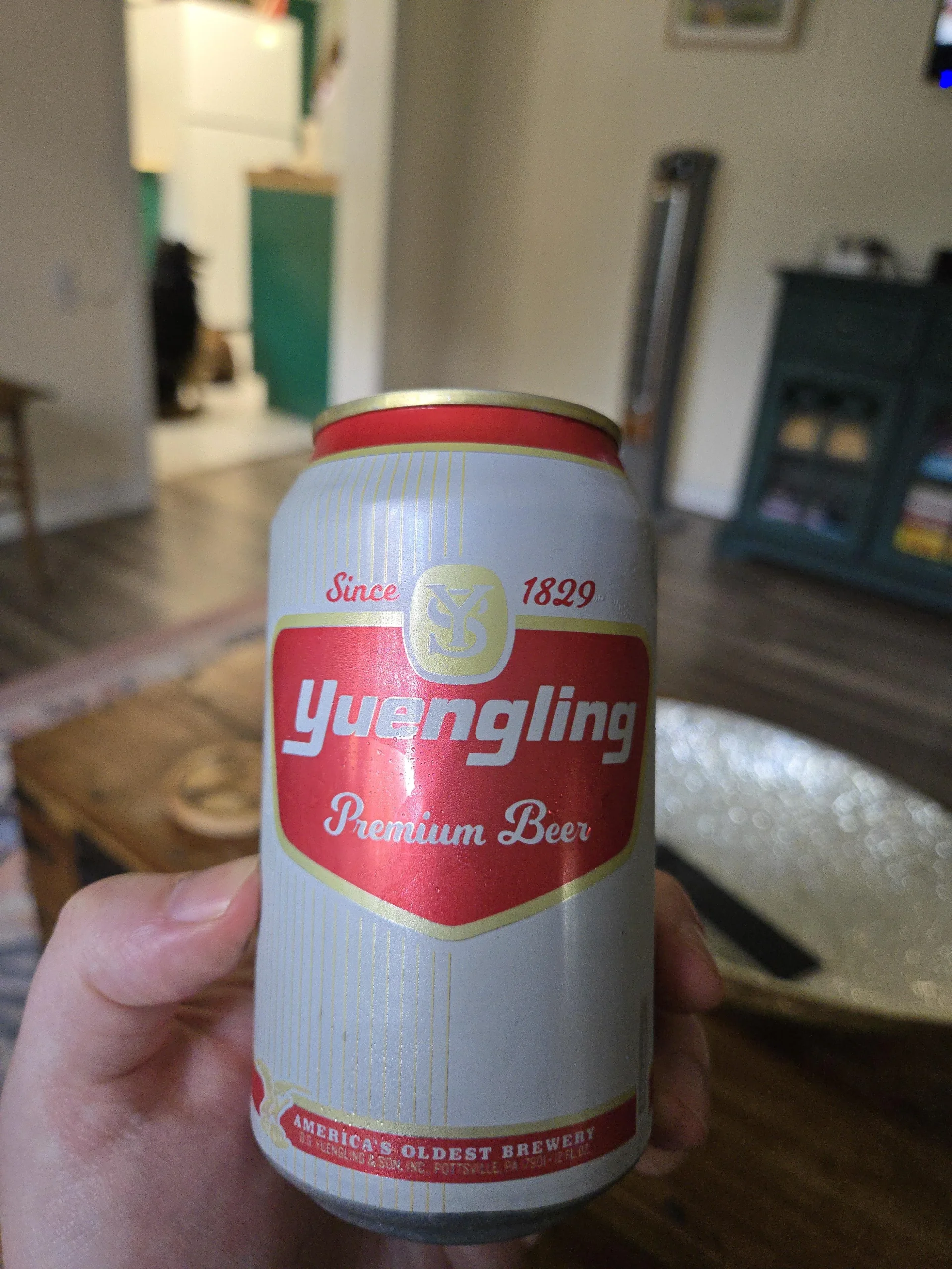 Yuengling Premium co thiet ke doc dao voi mau do trang an tuong scaled - Yuengling Premium: Di Sản V&agrave;ng Lắng Đọng Giữa D&ograve;ng Thời Gian