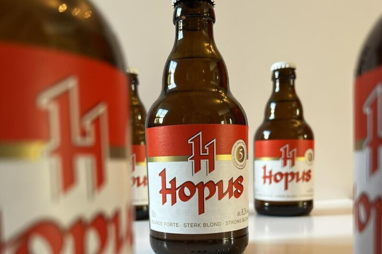 Close-up of Hopus beer bottle