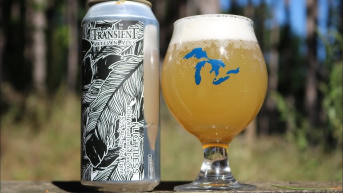 Flightless The Beauty of Flights That Don't Take Off