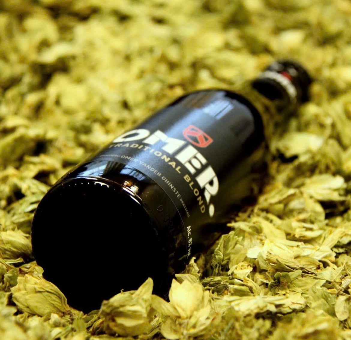 z7168345987142 e3aa6fd6a18c46fbf0c635909c368e89 - Omer Traditional Blond: Proud Golden Light From The Heart Of Belgium