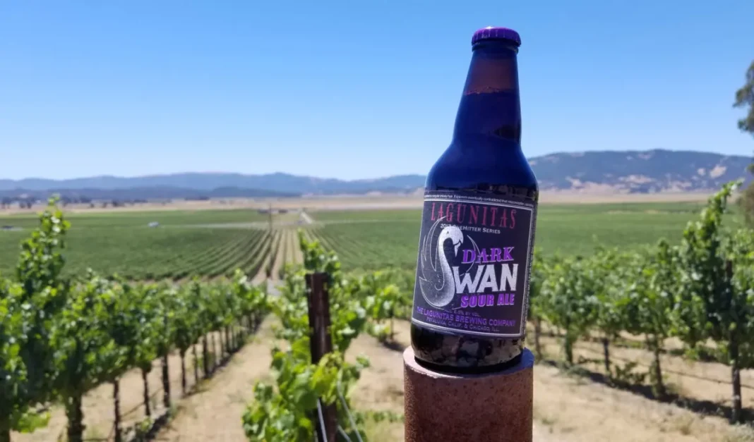 Dark Swan, The Swan Dressed in Sour Ale