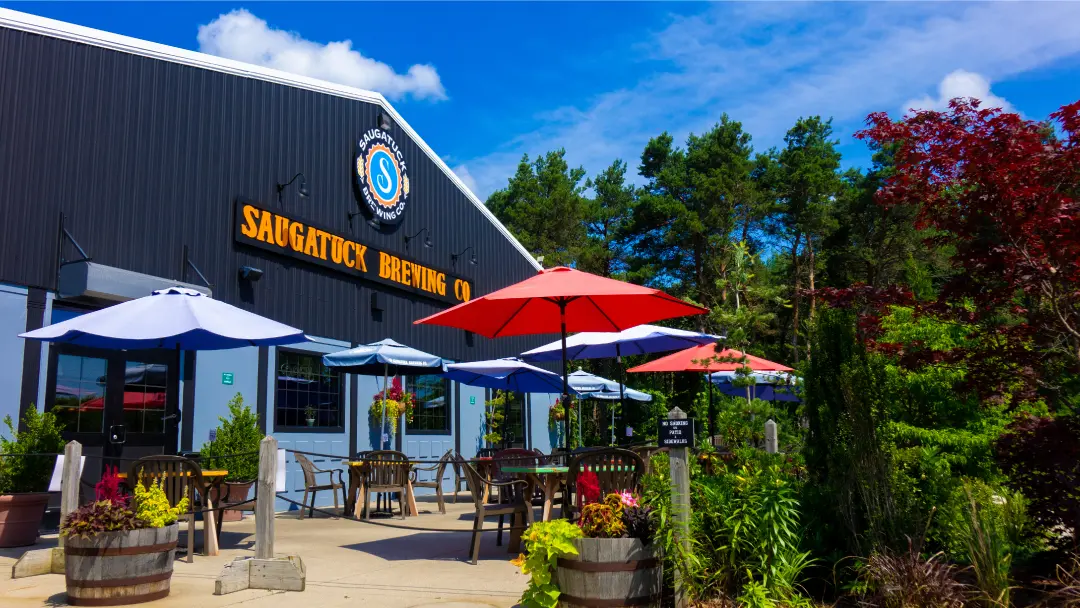 Images of lush greenery outside the Saugatuck Brewing Company - Blueberry Maple Stout: Immerse Yourself in the Sweet Dark Night
