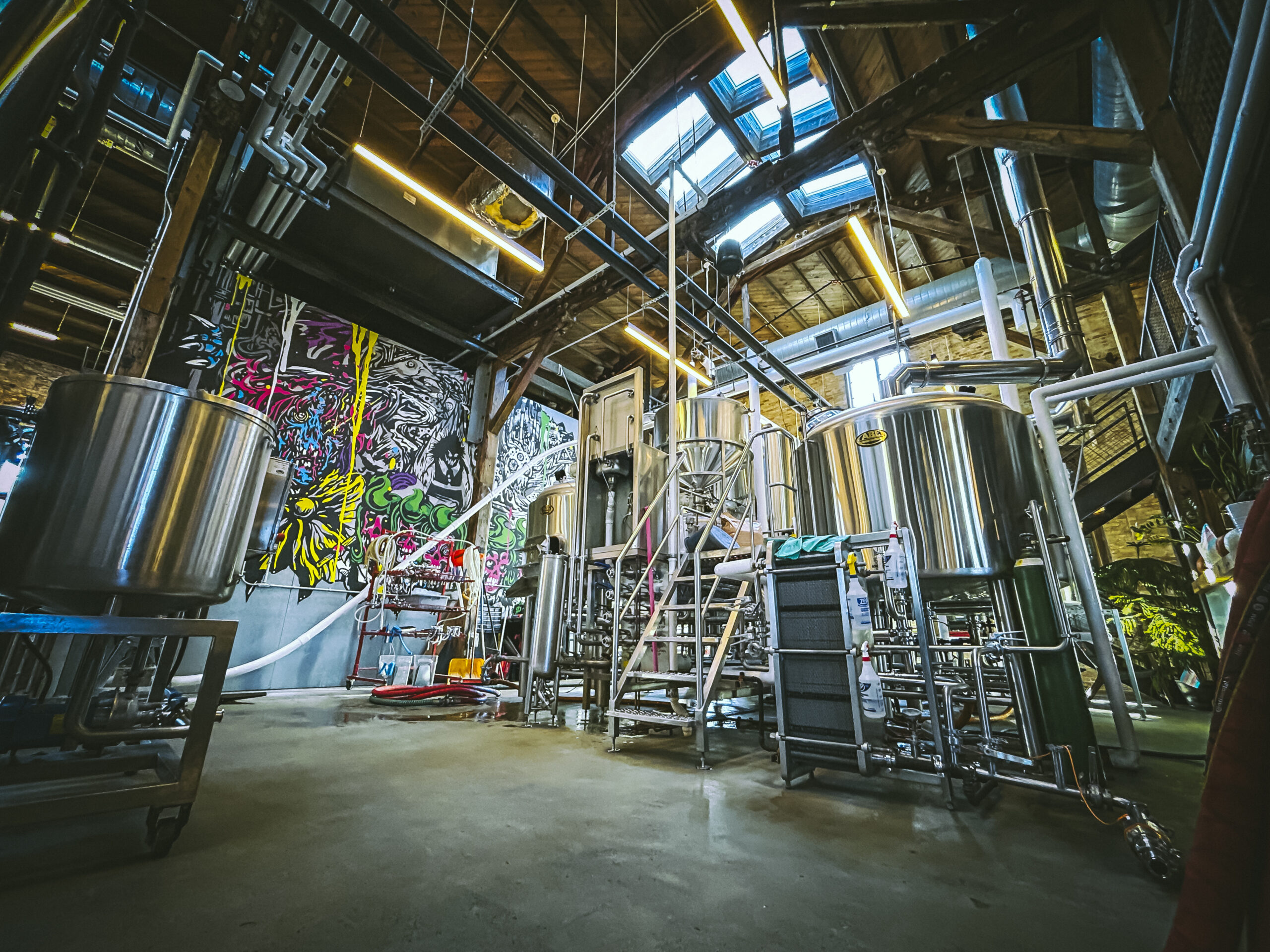 Modern interior images of Drekker Brewing Company - Braaaaaaaains - Apricot & Guava: Flavors of Apricot and Guava